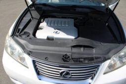 
										2009 Lexus ES 350 4dr Sedan full									